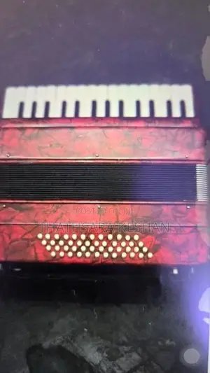 Accordion 49 Bass
