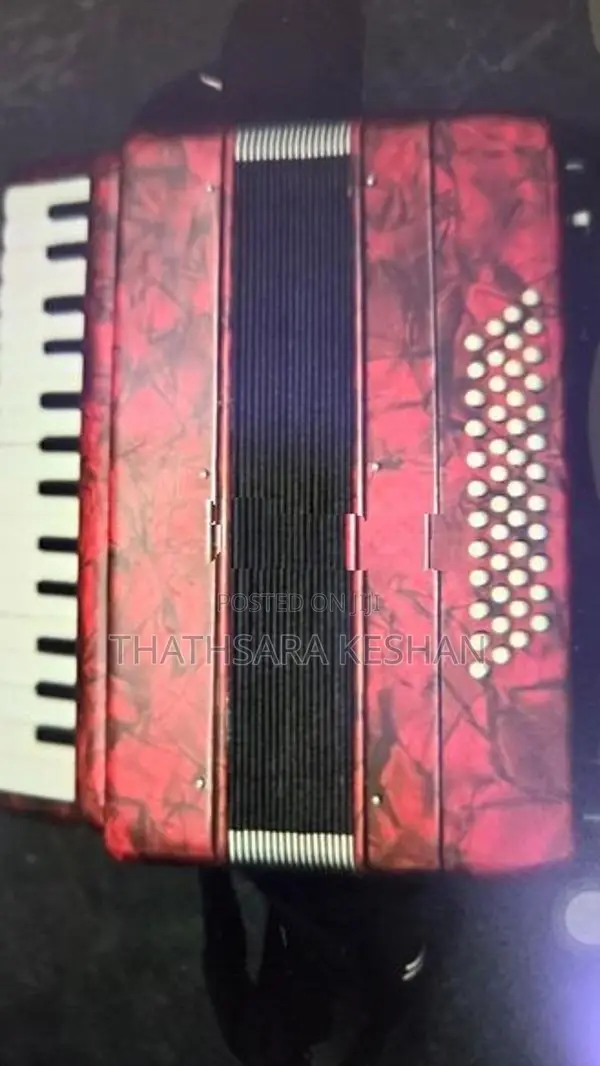 Accordion 49 Bass
