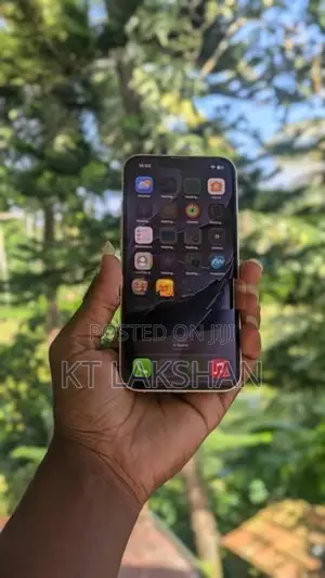 Apple iPhone 13 (Used)