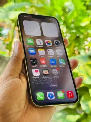 Apple iPhone 13 Pro Max 256GB (Used)