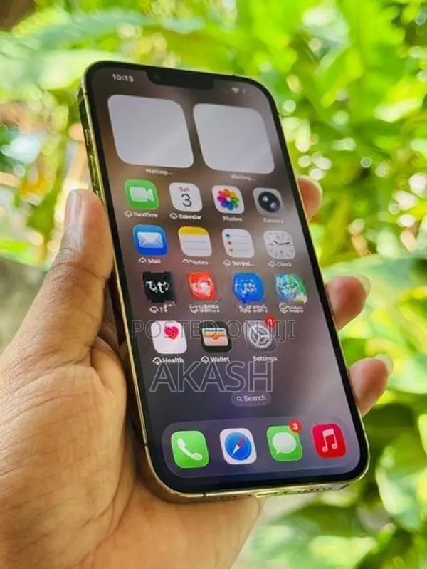 Apple iPhone 13 Pro Max 256GB (Used)