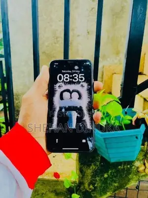 Apple iPhone X (Used)