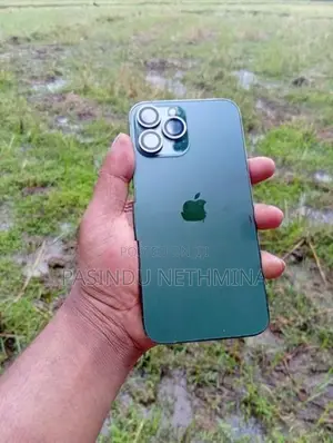 Apple iPhone 13 Pro Max (Used)
