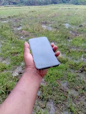 Apple iPhone 13 Pro Max (Used)