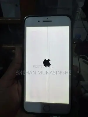 Apple iPhone 7 Plus (Used)