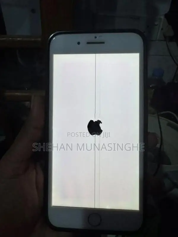 Apple iPhone 7 Plus (Used)