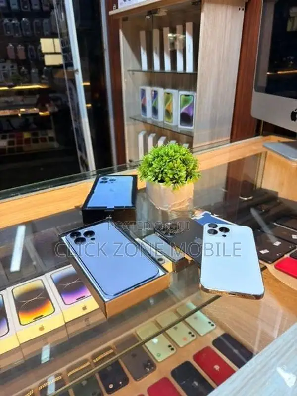 Apple iPhone 13 Pro (Used)