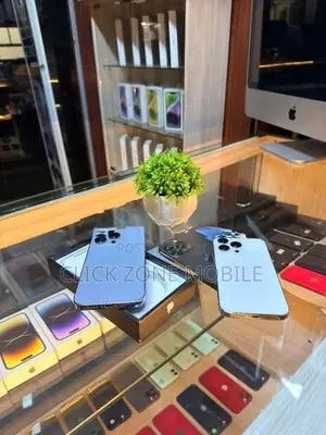 Apple iPhone 13 Pro (Used)