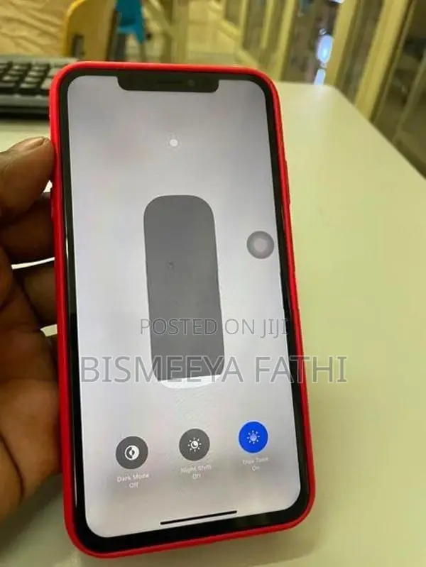 Apple iPhone XS Max 256GB (Used)