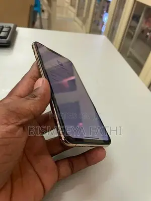 Apple iPhone XS Max 256GB (Used)