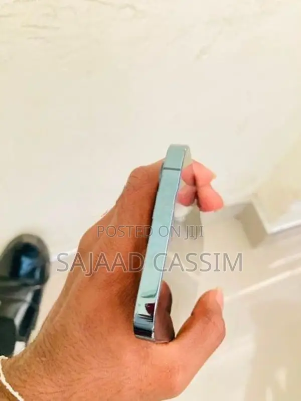 Apple iPhone 12 Pro Max (Used)
