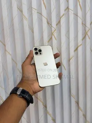 Apple iPhone 12 Pro (Used)