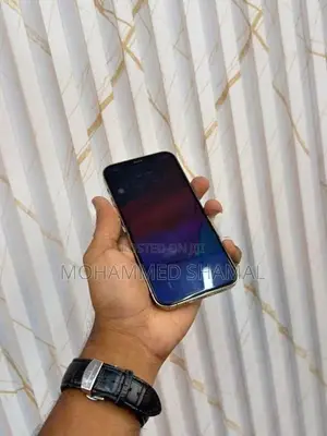 Apple iPhone 12 Pro (Used)