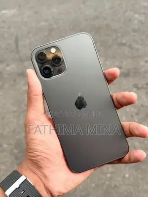 Apple iPhone 12 Pro Max (Used)