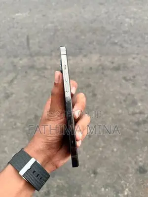 Apple iPhone 12 Pro Max (Used)