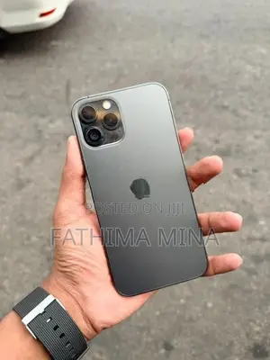 Apple iPhone 12 Pro Max (Used)