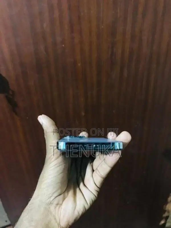 Apple iPhone 13 Pro 256GB (Used)