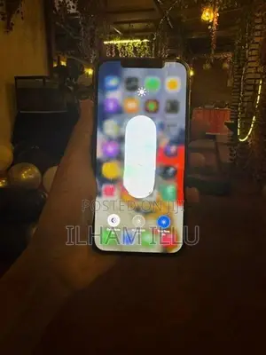Apple iPhone 12 Pro Max 256GB (Used)