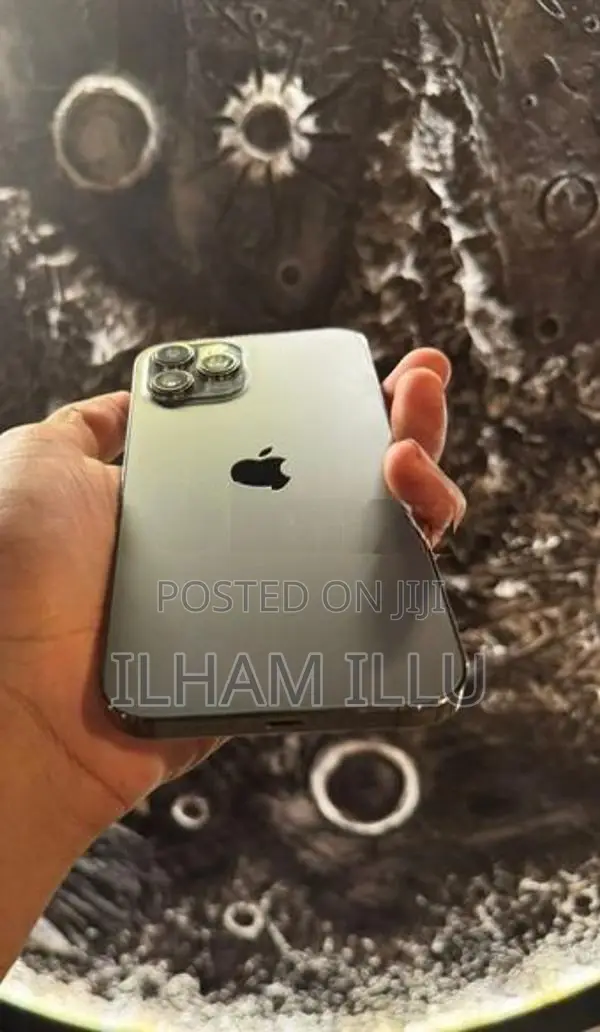 Apple iPhone 12 Pro Max 256GB (Used)