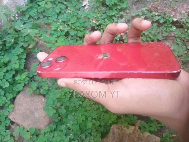Apple iPhone 13 (Used)