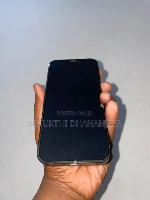 Apple iPhone 12 Pro (Used)