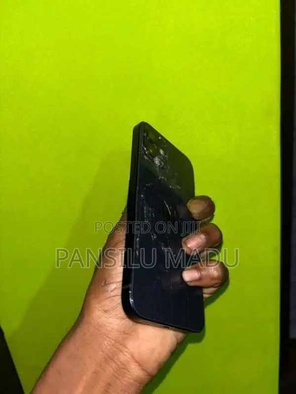 Apple iPhone 12 (Used)