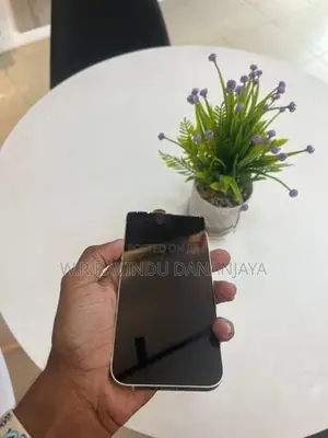 Apple iPhone 13 (Used)