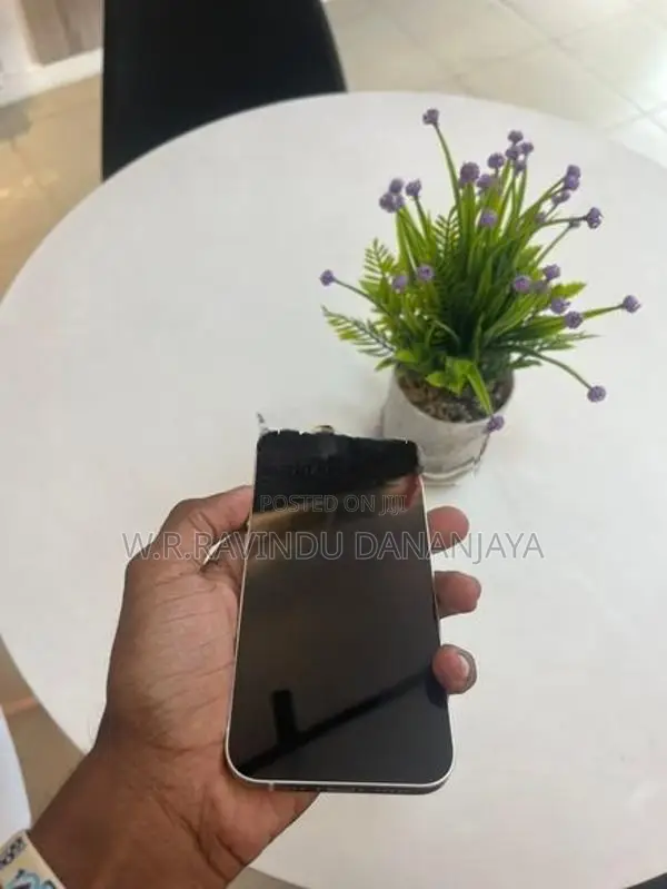 Apple iPhone 13 (Used)
