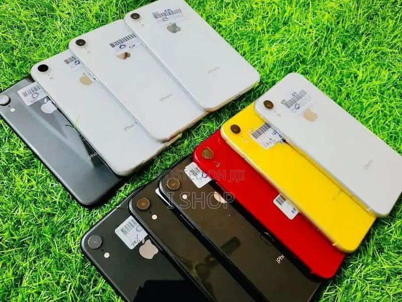 Apple iPhone 11 (Used)