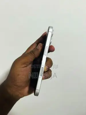Apple iPhone 17 256GB (Used)