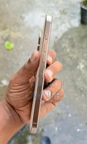 Apple iPhone 16 Pro Max (Used)