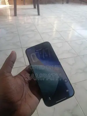 Apple iPhone 16 Pro Max (Used)