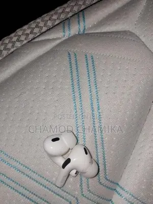 Rolus Earpods