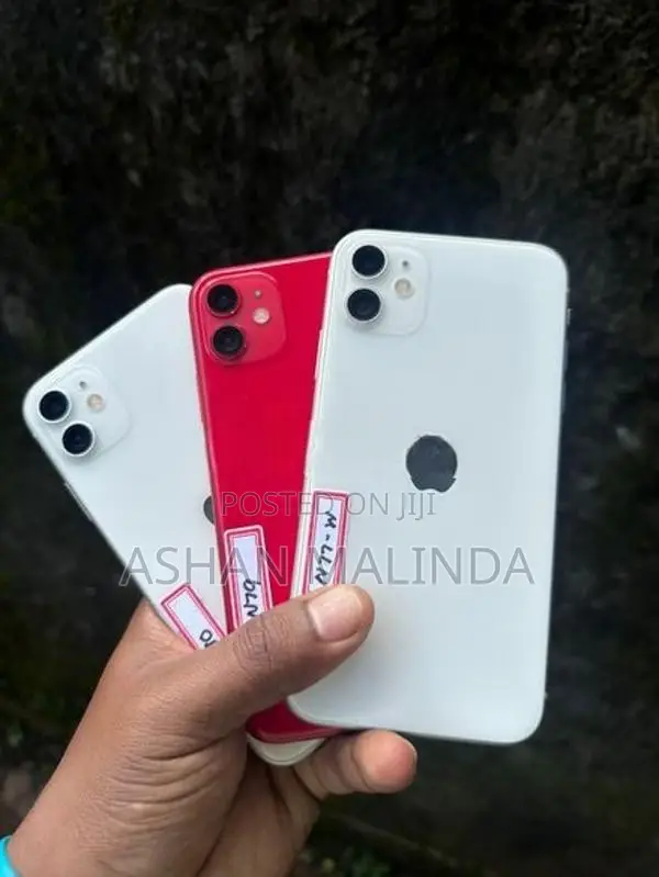 Apple iPhone 11 (Used)