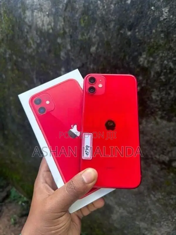 Apple iPhone 11 (Used)
