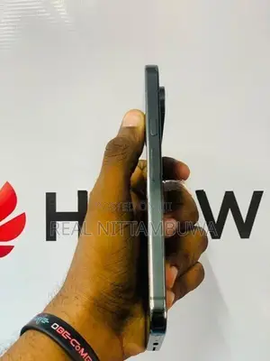 Google Pixel 9 Pro XL (Used)