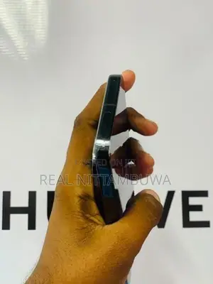 Google Pixel 9 Pro XL (Used)