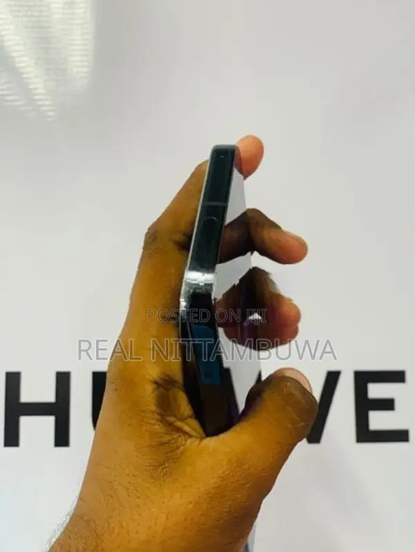 Google Pixel 9 Pro XL (Used)