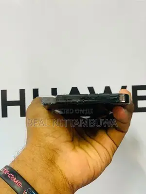Google Pixel 9 Pro XL (Used)
