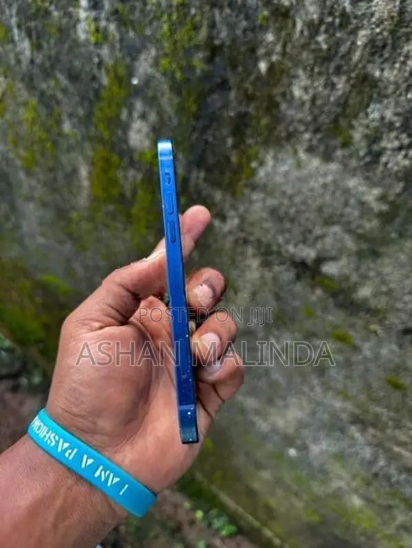 Apple iPhone 12 (Used)