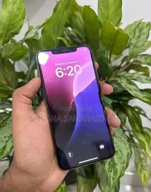 Apple iPhone XS Max (Used)