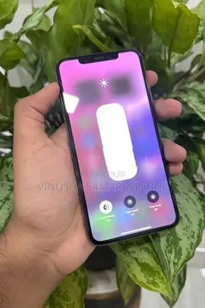 Apple iPhone XS Max (Used)