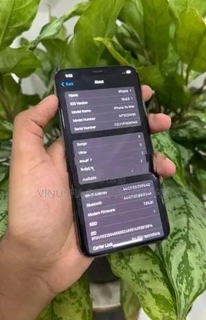 Apple iPhone XS Max (Used)