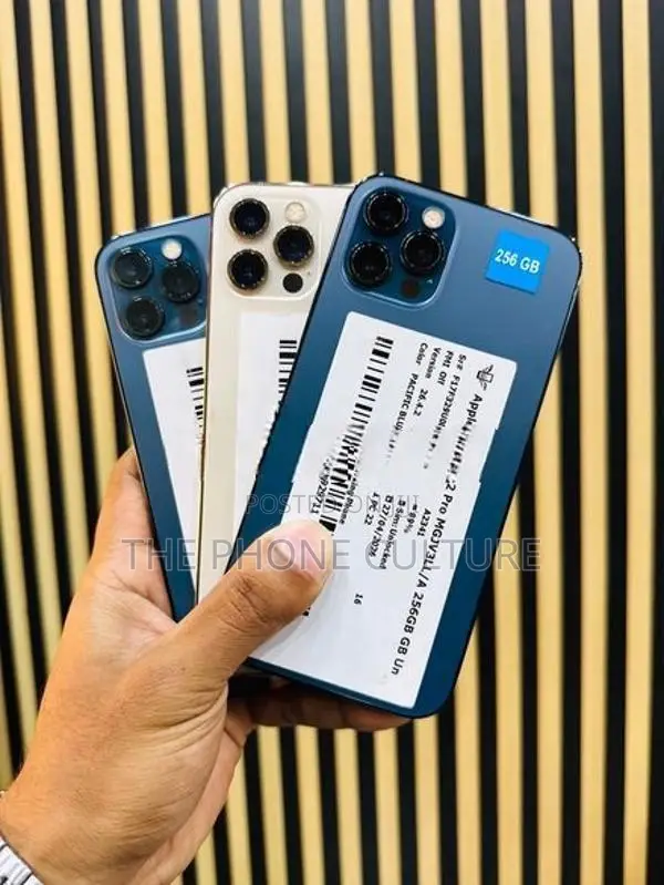 Apple iPhone 12 Pro 256GB (Used)