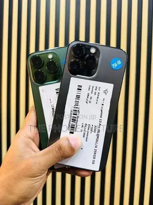 Apple iPhone 13 Pro 256GB (Used)