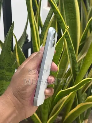 Apple iPhone 15 (Used)
