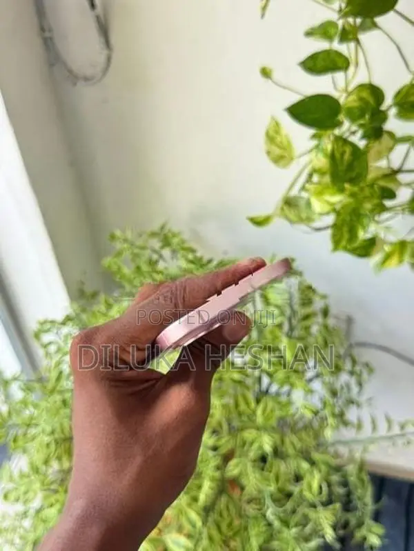 Apple iPhone 15 128 GB (Used)