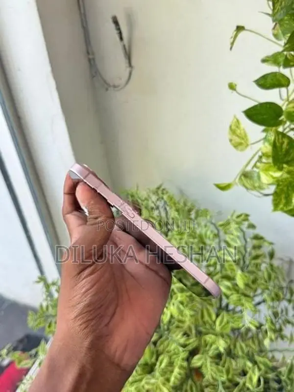 Apple iPhone 15 128 GB (Used)