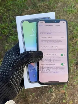 Apple iPhone X (Used)