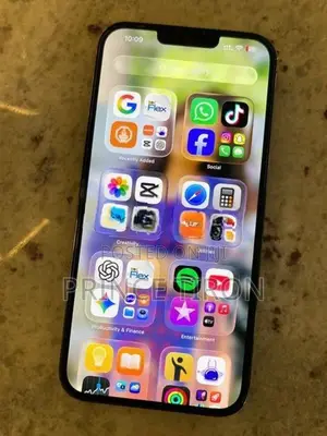 Apple iPhone 13 Pro Max (Used)